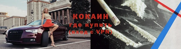спиды Пересвет