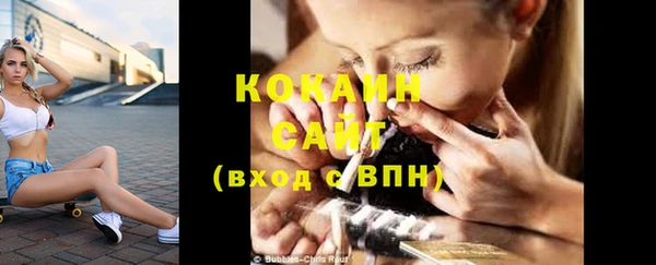 спиды Пересвет