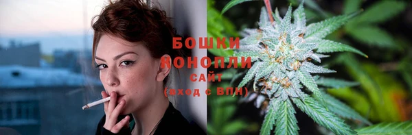 гидропоника Пестово