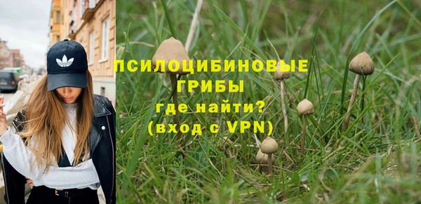 экстази Переславль-Залесский