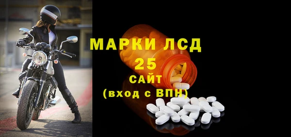 спиды Пересвет