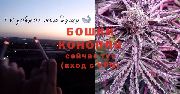 спиды Пересвет