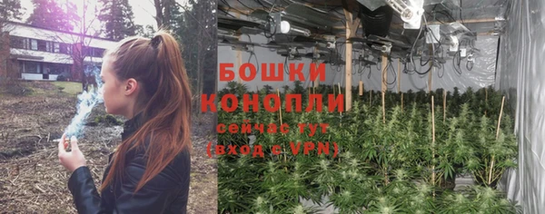спиды Пересвет