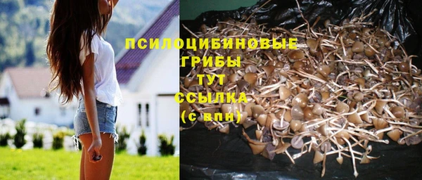 экстази Переславль-Залесский
