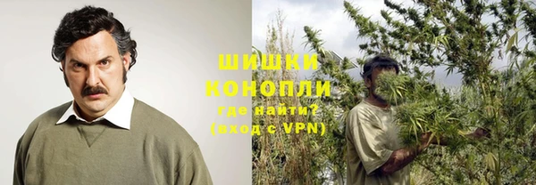 спиды Пересвет