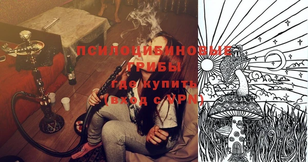 спиды Пересвет
