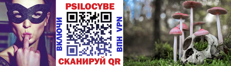 Псилоцибиновые грибы Psilocybine cubensis  Купить закладки  Таруса 